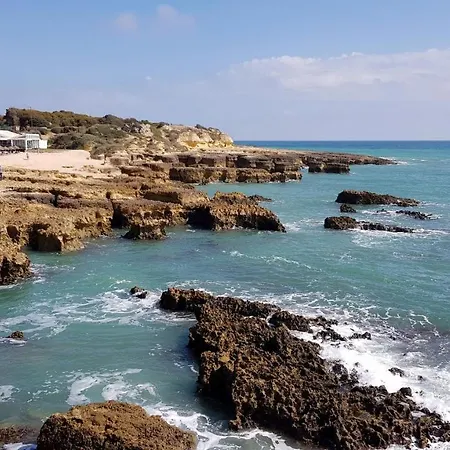 Casa Old Town Splendida Daire