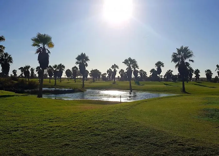 公寓 Casa Old Town Splendida 阿尔布费拉